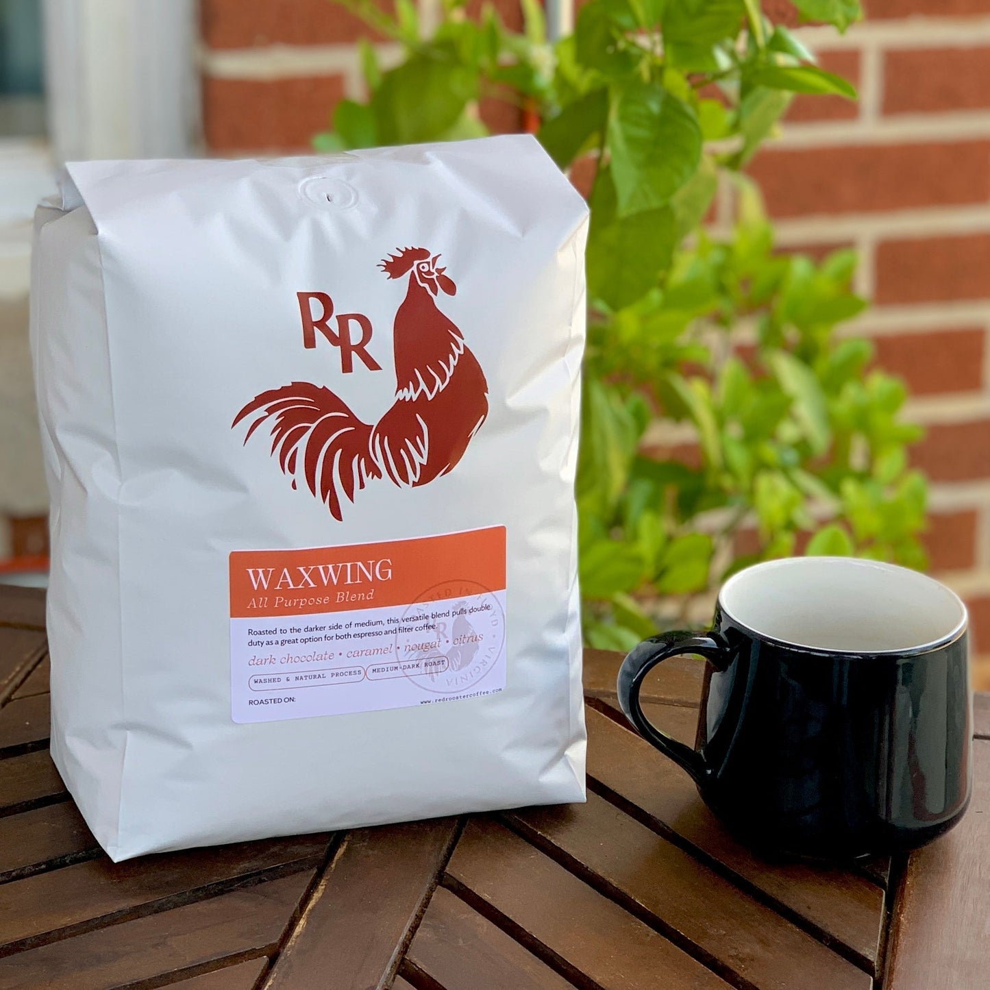 Waxwing All-Purpose Blend - Roasted Coffee for Home Brewing Stations