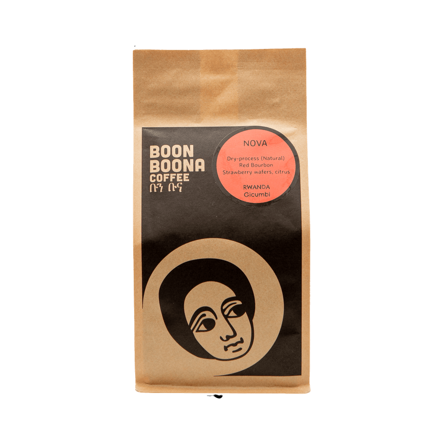 Nova 12 oz - Roasted Coffee for Home Brewing Stations