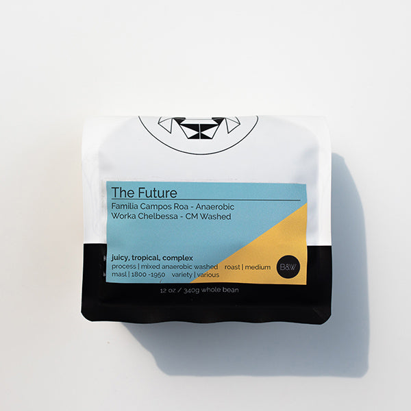 The Future 12 oz - Roasted Coffee for Home Brewing Stations