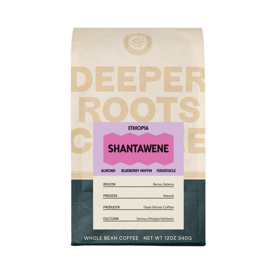 Ethiopia Shantawene 12 oz - Roasted Coffee for Home Brewing Stations