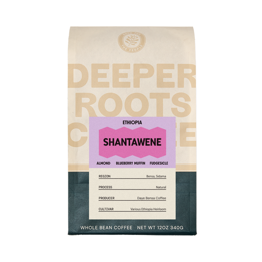 Ethiopia Shantawene 12 oz - Roasted Coffee for Home Brewing Stations