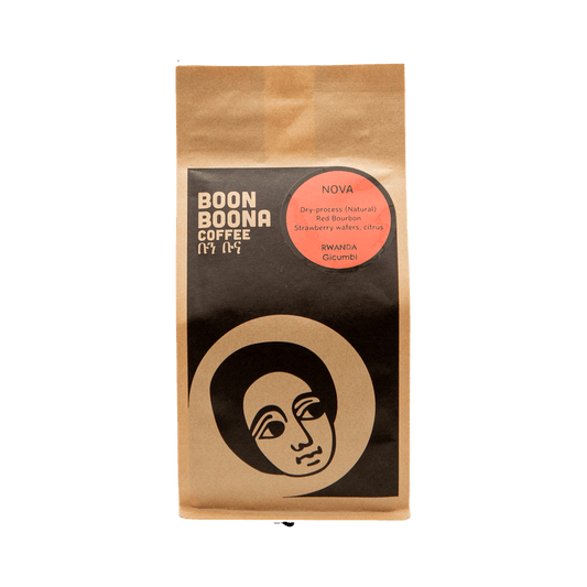 Nova 12 oz - Roasted Coffee for Home Brewing Stations