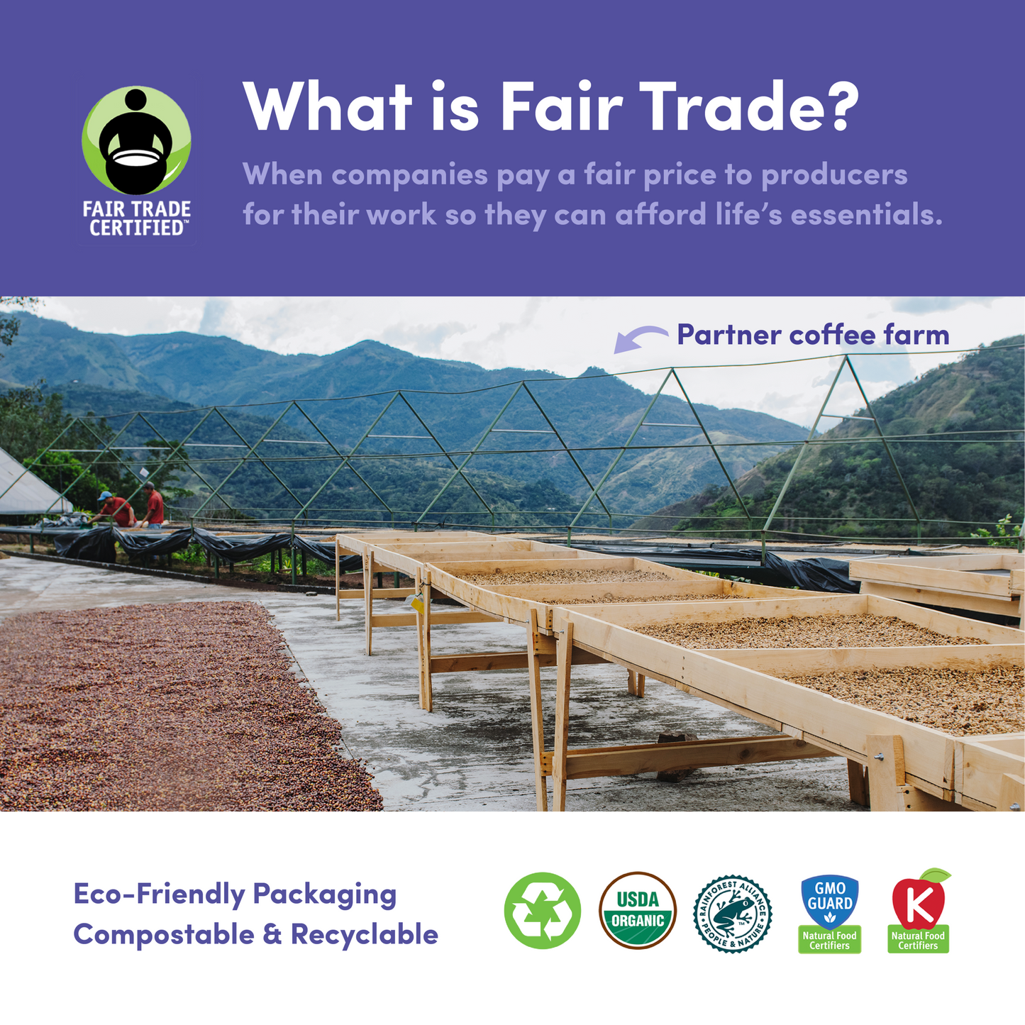 Downtown Blend Organic & Fair Trade - Roasted Coffee for Home Brewing Stations