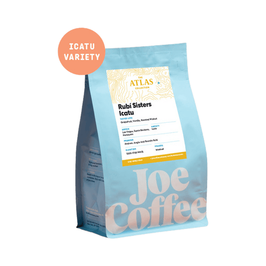 Rubi Sisters Icatu 12 oz - Roasted Coffee for Home Brewing Stations